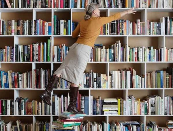 Summer Reading 2025 Launches In Hillsborough County With Slate Of Free June Events Summer Reading 2025 Launches In Hillsborough County With Slate Of Free June Events