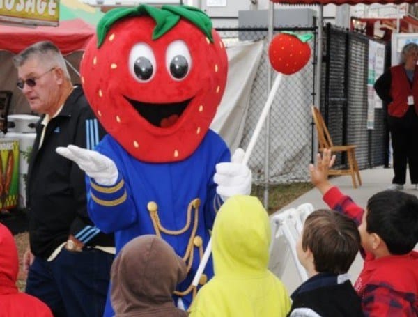 Florida Strawberry Festival Discounted Tickets Go On Sale Thursday Florida Strawberry Festival Discounted Tickets Go On Sale Thursday