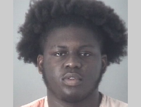 17 and 18-Year-Old Gunman Arrested in Land O’ Lakes Drive-By Shooting