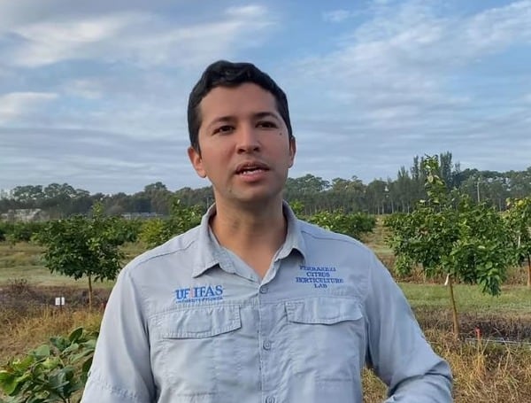 University Of Florida Graduate Student Sees The Future Of Worldwide Crop Production In New Cultivars University Of Florida Graduate Student Sees The Future Of Worldwide Crop Production In New Cultivars