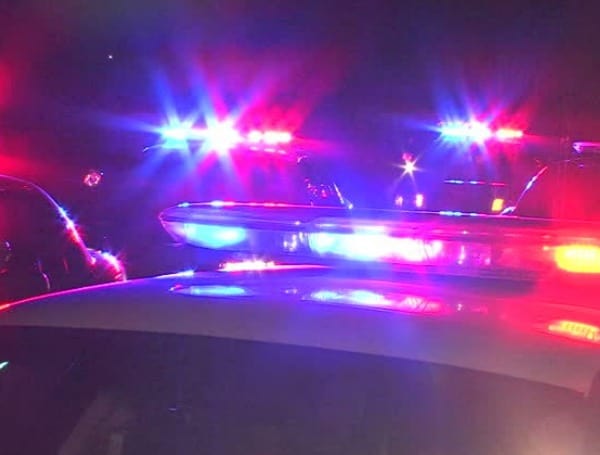 Pedestrian Fatally Struck By Truck In Tampa