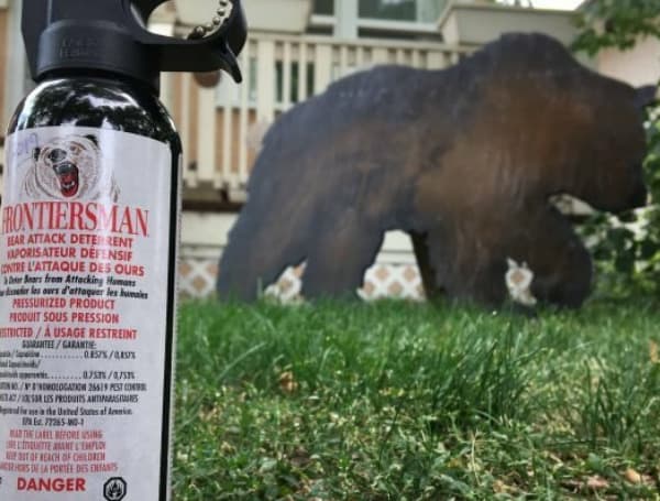 Florida Man, Stealing Candles From Bath And Body Works, Injures 30+ People With Bear Mace Florida Man, Stealing Candles From Bath And Body Works, Injures 30+ People With Bear Mace