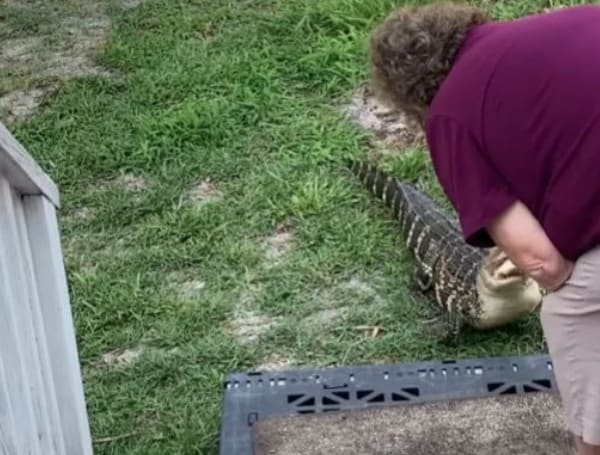 “I Got Him Good That Time” North Carolina Woman Feeds Her Little “Friend” “I Got Him Good That Time” North Carolina Woman Feeds Her Little “Friend”