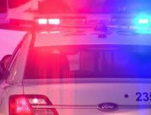 6-Year-Old Spring Hill Girl Dies After Oldsmar Vehicle-Pedestrian Crash