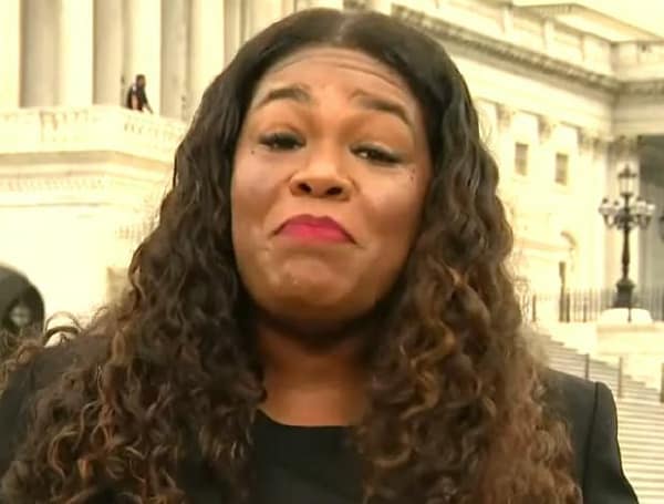 Michigan Dem Rep Blames ‘Big Money’ Ads For Missouri Squad Member’s Primary Defeat