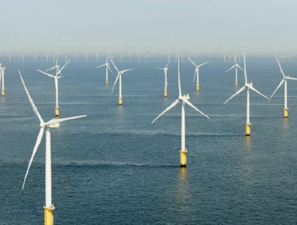 New Jersey Terminates Ocean Wind Projects Amidst Environmental Concerns New Jersey Terminates Ocean Wind Projects Amidst Environmental Concerns