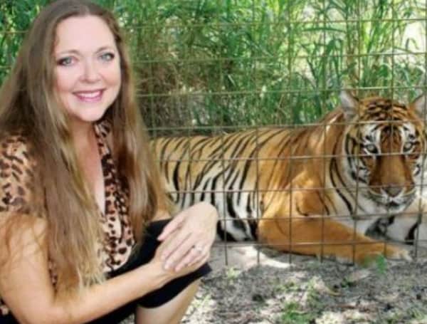 Florida’s Big Cat Rescue Carole Baskin Dismisses Lawsuit Against Netflix, Tiger King 2 Florida’s Big Cat Rescue Carole Baskin Dismisses Lawsuit Against Netflix, Tiger King 2