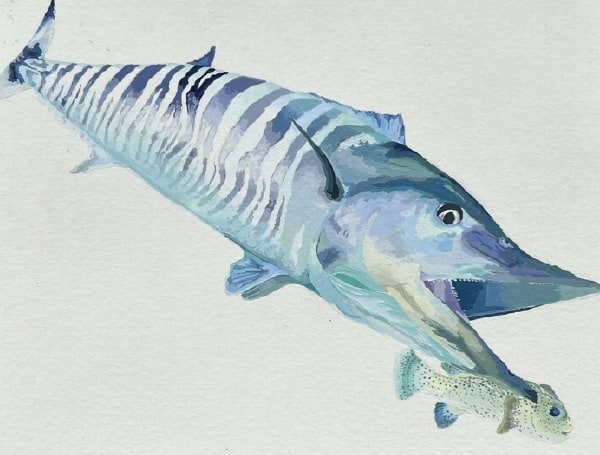 FWC Announces Winners Of Florida State Fish Art Contest FWC Announces Winners Of Florida State Fish Art Contest