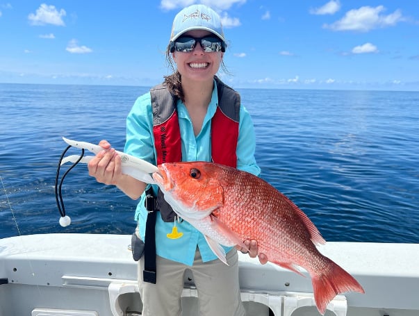 Florida Gov. DeSantis Announces 103-Day Gulf Red Snapper Recreational Season For 2024