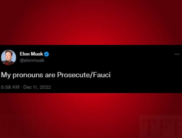 Elon Sparks Conservative Twitter With A Provocative Pronoun Switch