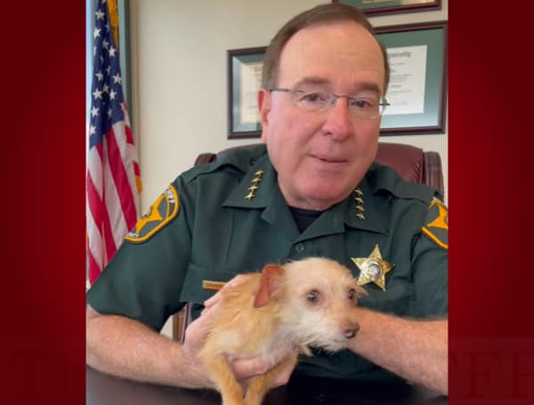 Polk County Animal Control Annual Pet Fest This Weekend Saturday, December 10, 2022
