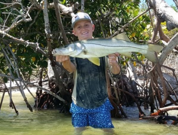 Florida Snook Fishing Season Opens September 1 Across East And West Coasts