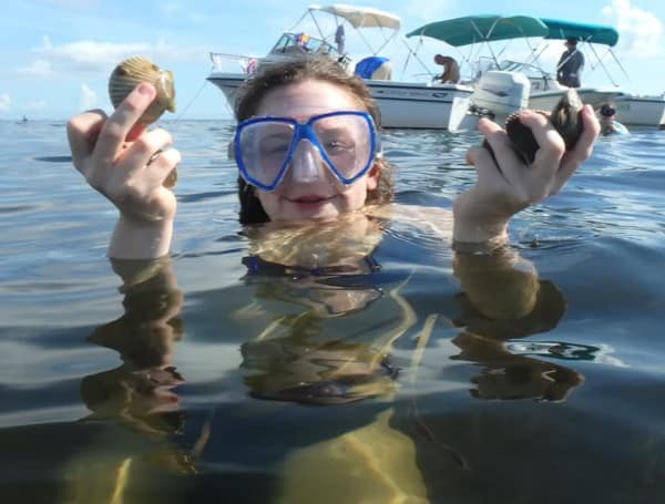 Florida Scallop Season Kicks Off June 15 In Fenholloway – Suwannee River Zone
