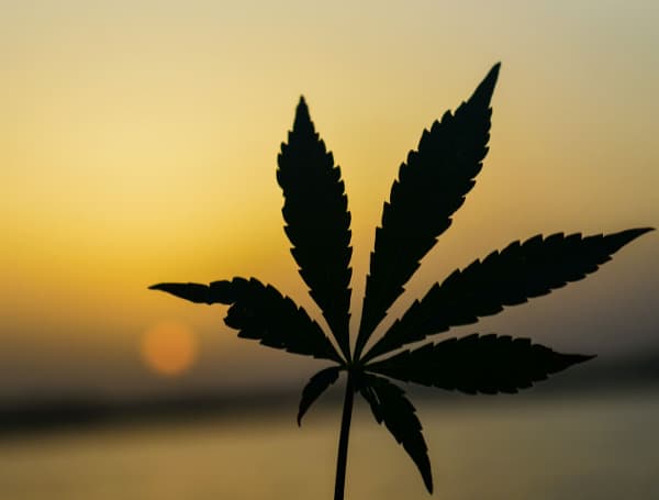 Florida Judge Backs Increased Marijuana License Fee