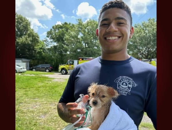 Hometown Heroes: Hillsborough County Firefighters Rescue 3 Dogs From Brutal Blaze Hometown Heroes: Hillsborough County Firefighters Rescue 3 Dogs From Brutal Blaze