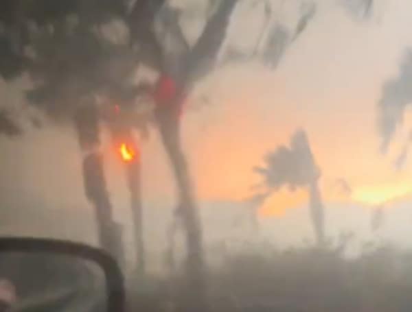 DHS Blasts Biden Admin Over Lahaina Fire Aftermath, Horiffic Survior Exploitation