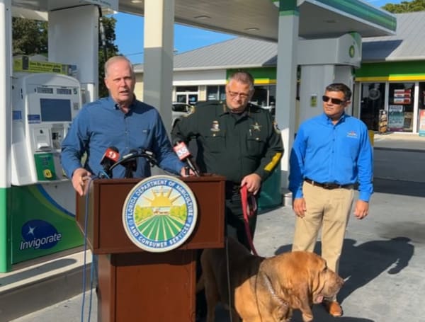 Florida Ag Commissioner Simpson Says “Bring It On” Over Lawsuit From Hemp Sellers Targeting Kids Florida Ag Commissioner Simpson Says “Bring It On” Over Lawsuit From Hemp Sellers Targeting Kids