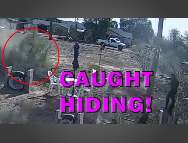 Gunman Tries Hiding From Cop In The Bushes On Video, LEO Round Table