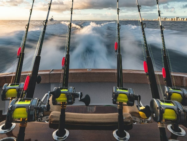 Backers Of Florida Constitutional Amendment For Hunting, Fishing Top $450,000 Backers Of Florida Constitutional Amendment For Hunting, Fishing Top $450,000