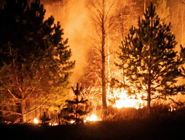 Florida’s Growing Wildfire Threat: A Danger To Communities And Ecosystems