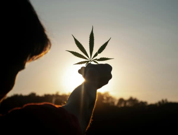 Florida Lawmakers Target Hemp Products