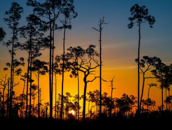 Florida Legislature, State Agencies Seek To Dismiss Environmental Groups’ Appeal On Conservation Funding Florida Legislature, State Agencies Seek To Dismiss Environmental Groups’ Appeal On Conservation Funding