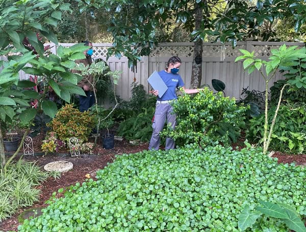 How Many Plants Are In Your Yard? UF Study Finds High Plant Diversity In Residential Landscapes