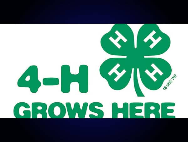 Pasco County 4-H Program Hosts Summer Day Camps