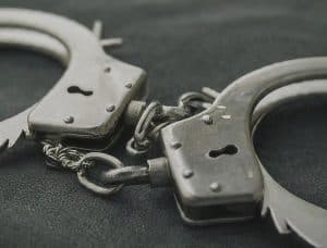 Caught On Camera: Florida Man Gets Jail Time For Tossing Dog With Skull ...