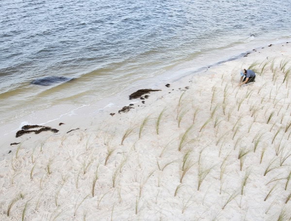 Study Reveals Growing Interest In Natural Shorelines Study Reveals Growing Interest In Natural Shorelines