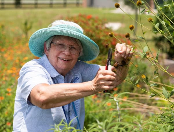 Summer Seed Saving: A Master Gardener Shares Tips On Wildflower Propagation Summer Seed Saving: A Master Gardener Shares Tips On Wildflower Propagation