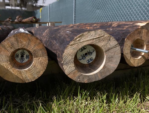 University Of Florida Pavilion Promotes Sustainable Construction