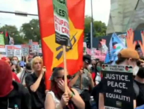 Former Clinton Pollster Says Dems Lack ‘Backbone’ To Condemn DNC Protests In Chicago