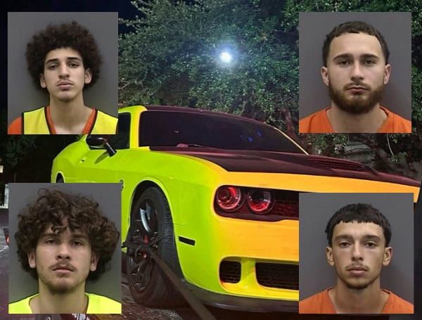 Hillsborough Sheriff’s Office Busts Major Car Theft Ring “Operation Family Affair”