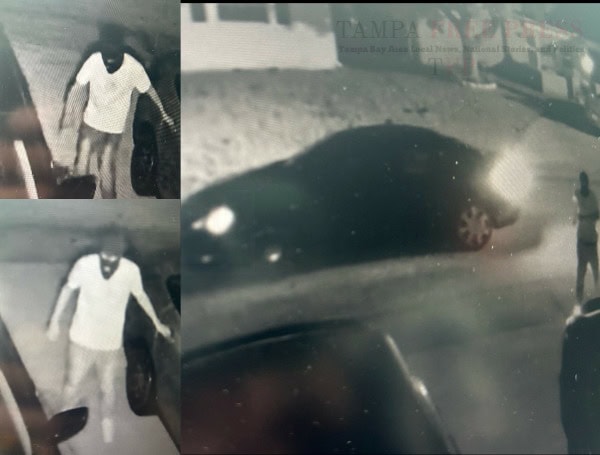 Help Pasco Sheriff Solve A String Of Port Richey Car Break-Ins