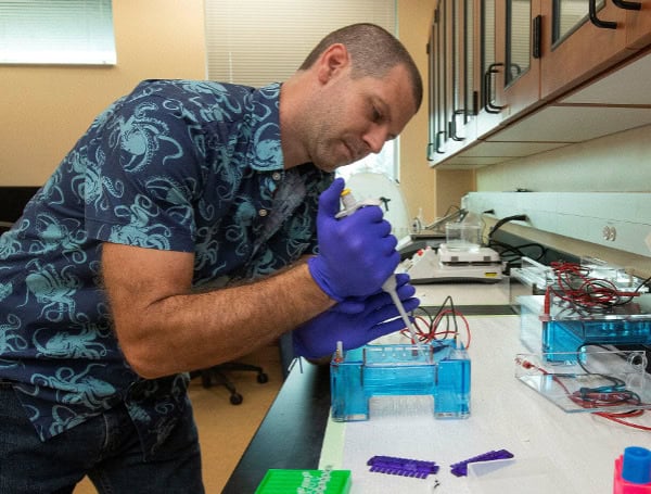 UF/IFAS Scientists Develop Method For Detecting DNA Of Invasive Snakes In Florida