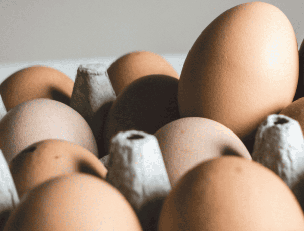 Trump Admin’s Economic Policies Lead To Lower Prices For Gas, Eggs Across The U.S.