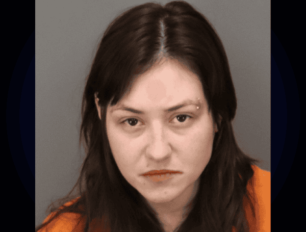 St. Petersburg Woman Arrested For DUI Manslaughter After Fatal Hit-And-Run