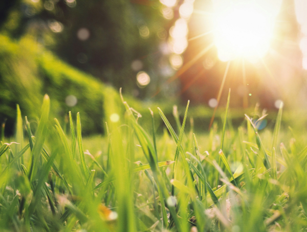 Sneezing Season Shifts Gears As Weed Pollen Threat Rises Across The U.S.