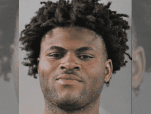 Teen Arrested After Stolen Polk County Car Chase Ends In Crash, K9 Apprehension In Lakeland