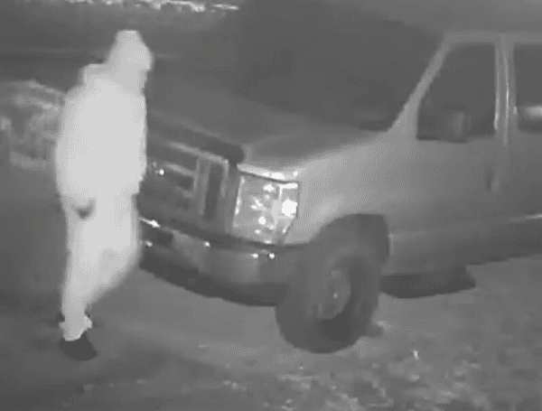 Polk County Sheriff Seeks Help Identifying Mulberry Burglary Suspect Who Stole Power Saw