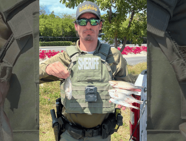 Miami Woman Cited For Undersized Fish In Islamorada: Monroe County Sheriff Miami Woman Cited For Undersized Fish In Islamorada: Monroe County Sheriff