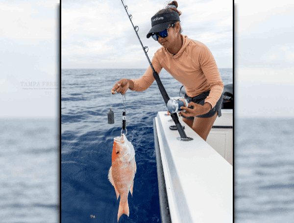 Lawmakers Push Commerce Department For Longer South Atlantic Red Snapper Seasons