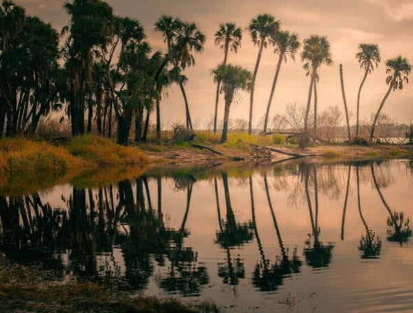 Florida Rep. Greg Steube Pushes Myakka River Protection Bill Closer To House Floor