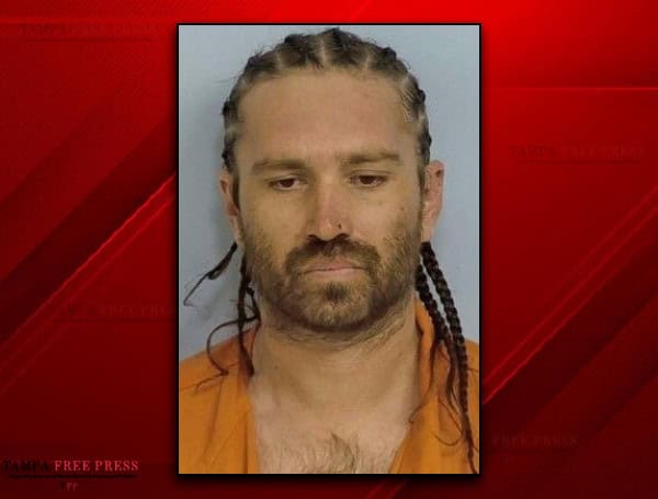 Florida Man’s Backyard Bullet Barrage Ends In Arrest