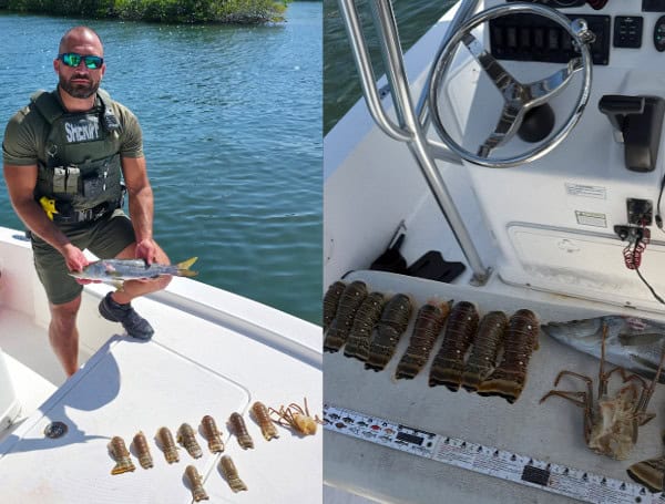 Miami Man Busted In Florida Keys For Egregious Fishing Violations Miami Man Busted In Florida Keys For Egregious Fishing Violations