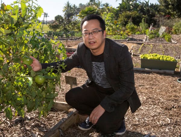 Urban Farming Takes Root: UF/IFAS Course Cultivates Community Food Systems