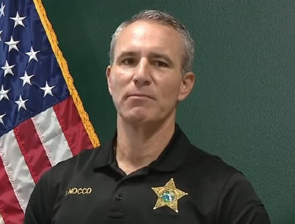 Pasco Sheriff Issues Grave Warning To Parents After Port Richey Teen’s Arrest Pasco Sheriff Issues Grave Warning To Parents After Port Richey Teen’s Arrest