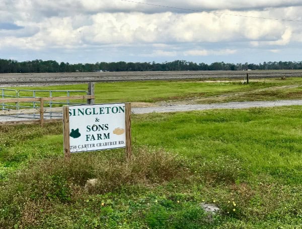 A Lasting Harvest: Florida Preserves Over 540 Acres Of Farmland And Family Legacy