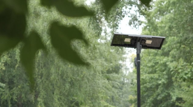 Flock cameras
